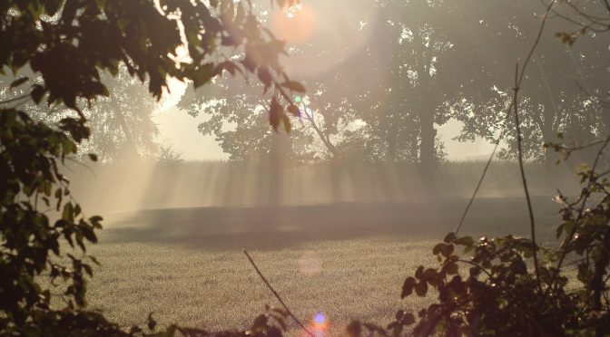 Der goldene Oktober hat uns erreicht …