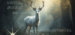 Rauhnachtsspecial - Visionboard & Kakaozeremonie – Deine Herzensvisionen für 2026 @ Wellness für die Seele